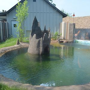 World of Water - American Alligator (Alligator mississippiensis) Exhibit