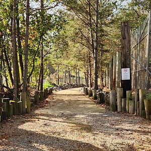 Tigers For Tomorrow - Entrance to predator area