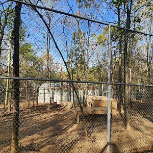 Tigers For Tomorrow - Wolf enclosure