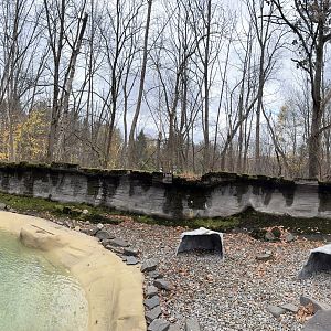 African penguin exhibit