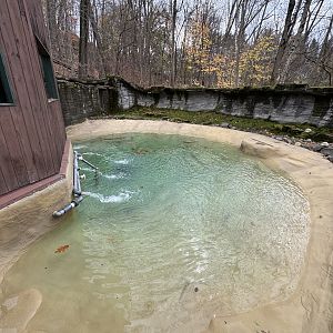 African penguin exhibit
