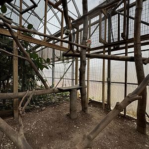 Tropics building - Prehensile-tailed porcupine exhibit
