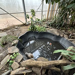 Tropics building - Former Matamata exhibit (now empty)