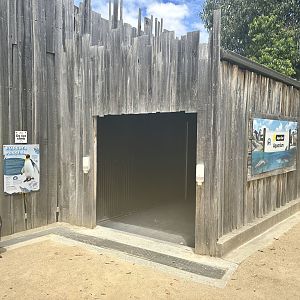 Aquarium Entrance
