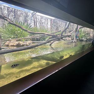 Freshwater Tank 3