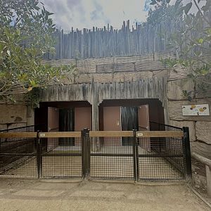 Nocturnal House Exit