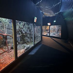 Nocturnal House Interior