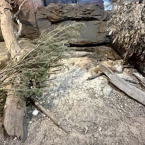 Merten’s Water Monitor Exhibit