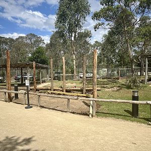 Kangaroo Exhibit