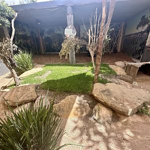 Macropod Nursery