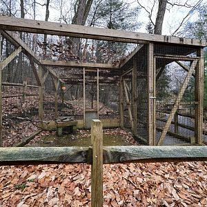 Playground area - Empty exhibit