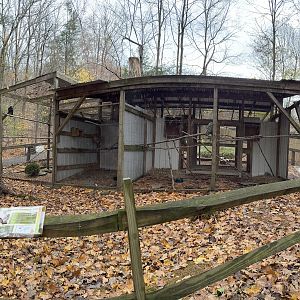Bird exhibits (left: Black vulture/middle: Eastern screech owl/right: Barred owl)