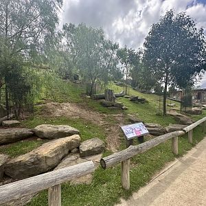 Macropod Walkthrough