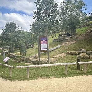 Macropod Walkthrough