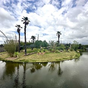 Tiger Exhibit (Pool)