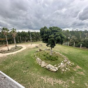African Savannah (Top)