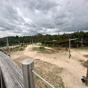 African Savannah (Middle)