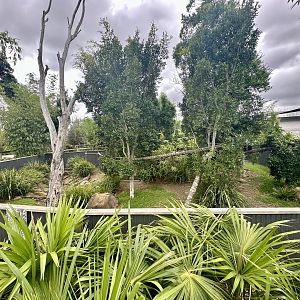 Nepalese Red Panda Exhibit