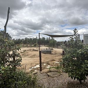 Asian Elephant Paddock 1