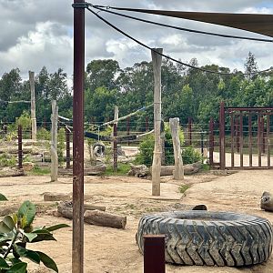 Asian Elephant Paddock 1