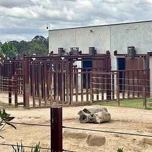 Asian Elephant House