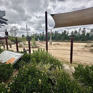 Asian Elephant Paddock 2