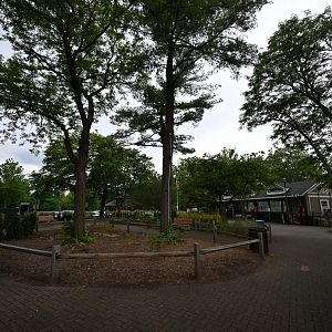 Entrance Plaza - Scenery and Landscaping