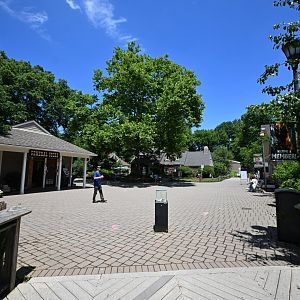 Zoo Scenery and Landscaping
