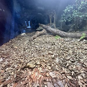 ARC - Reticulated Python Exhibit