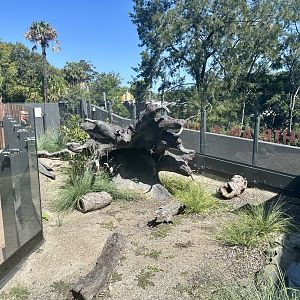 ARC - Red-bellied Black Snake Exhibit