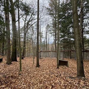 Wolf Woods - Empty(?) exhibit