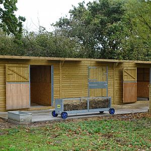 Shelter in new Capybara and Alpaca exhibit, 12th October 2024