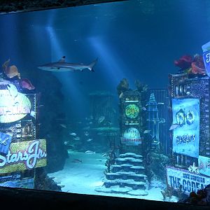 SeaLife New Jersey - Ocean Tank