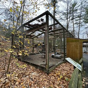 Wolf Woods - Arctic fox exhibit