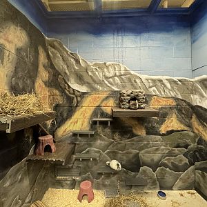 Small mammal building - Chinchilla exhibit