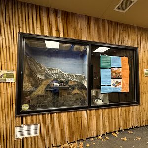 Small mammal building - Chinchilla exhibit