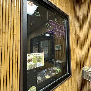 Small mammal building - Curlyhair tarantula exhibit