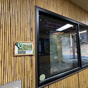 Small mammal building - Green tree python exhibit