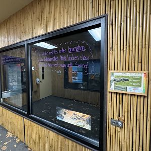 Small mammal building - Mali uromastyx exhibit