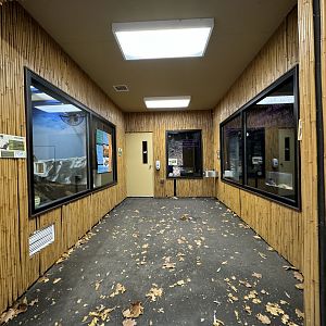Small mammal building - Interior (Left: chinchillas, straight: tarantula, right: uromastyx & tree python)