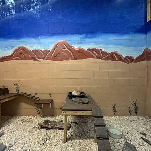 Small mammal building - Fennec fox exhibit