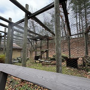 Former Puma exhibit - now home to Indian peafowl & Lady Amherst’s pheasants