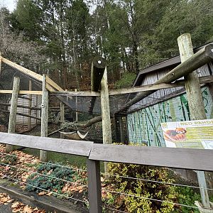 Red panda exhibit