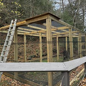 Construction on former tortoise exhibit