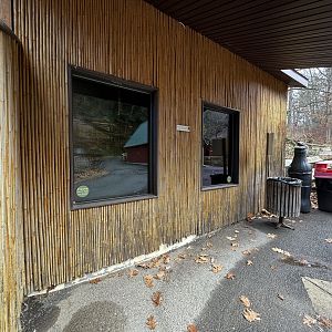 Pallas’s cat exhibit