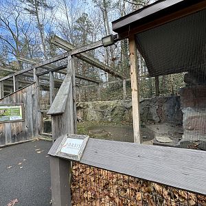 Pallas’s cat exhibit