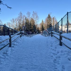 New Pathway Bisecting Old Moose Habitat