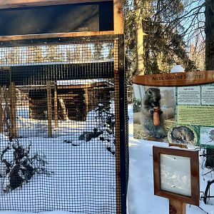 New Arctic Ground Squirrel enclosure