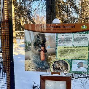 Arctic Ground Squirrel Sign
