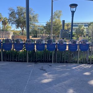 New Cow Yard Elephant Signs